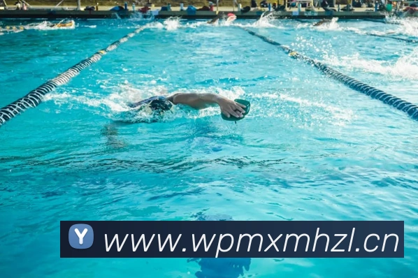 多媒体互动体验